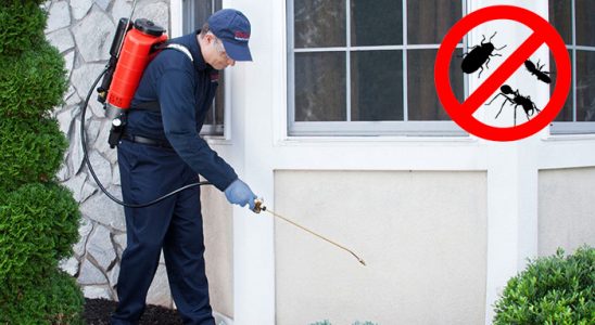 Karapürçek Bit İlaçlama böcek ilaçlama ve haşere kontrolü — ilaclama-tr.com